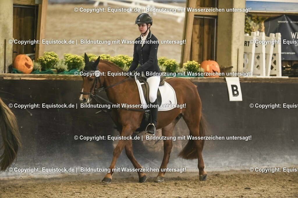 03_Reiter-WB_0022 | Foto: Thomas Hartig