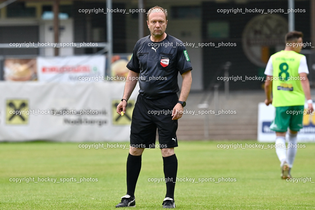WSG Radenthein vs. SV Rapid Lienz 9.6.2023 | Weichsler Arno Referee