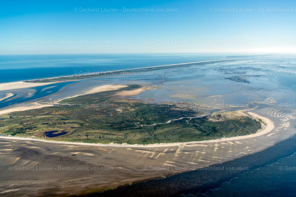 3801503 | Vogelschutzgebiet Memmert, Nationalpark Niedersächsisches Wattenmeer