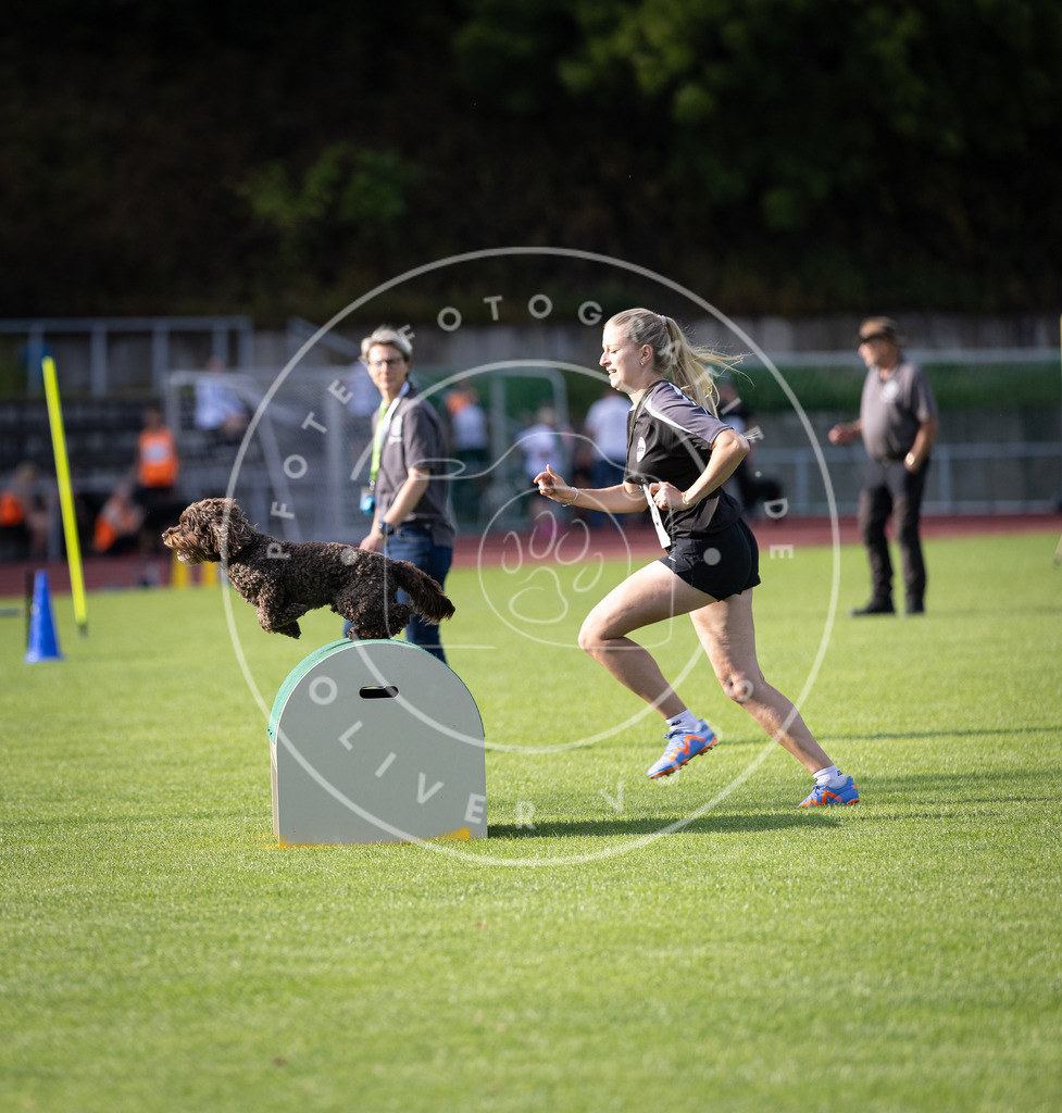 Pfotenfotografie_DV3A2528 | Hundefotografie, Tierfotograf, Pfotenfotografie, Fotoshooting Hund, Hunde Portrait, Hundesport, Hundeportraits, Heideshooting, Hunde, Sportfotograf, Hundefotograf, Turnierhundsport, THS,  - Realisiert mit Pictrs.com