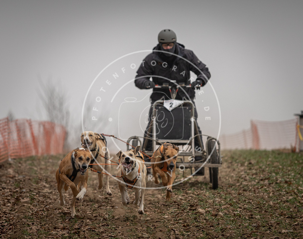 Pfotenfotografie_DV3A4316 | Hundefotografie, Tierfotograf, Pfotenfotografie, Fotoshooting Hund, Hunde Portrait, Hundesport, Hundeportraits, Heideshooting, Hunde, Sportfotograf, Hundefotograf, Turnierhundsport, THS,  - Realisiert mit Pictrs.com