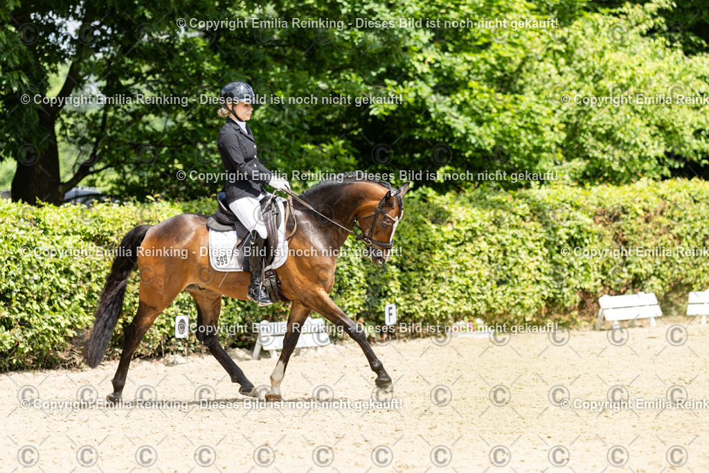 CL5A2693 | Emilia Reinking Fotografie - Realisiert mit Pictrs.com