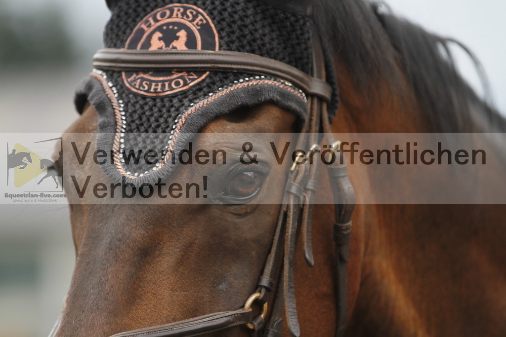 _MG_8364 | equestrian-live-com
