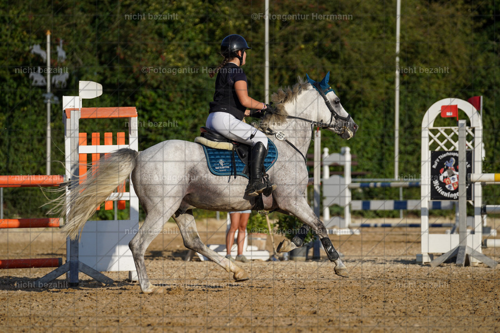 20240824-FAH08760 | Thierhaupten 2024, Bayerisches Landesponyturnier, Turnierbilder, Ponybilder, Turnierfotografen Bayern, Fotoagentur Herrmann