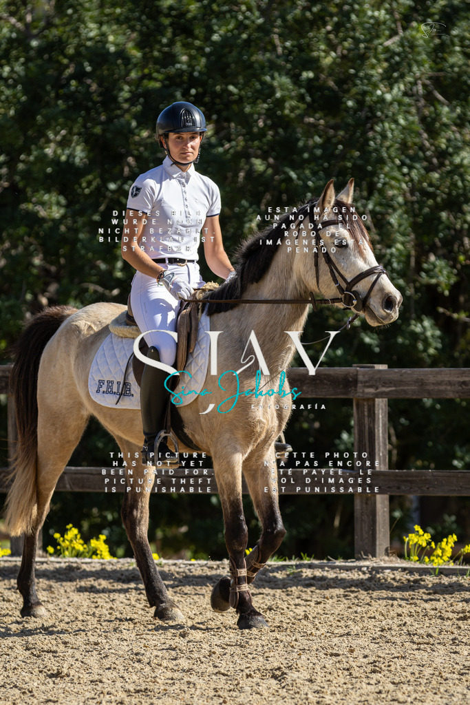 IMG_6120 | s-jay-photography - Realisiert mit Pictrs.com