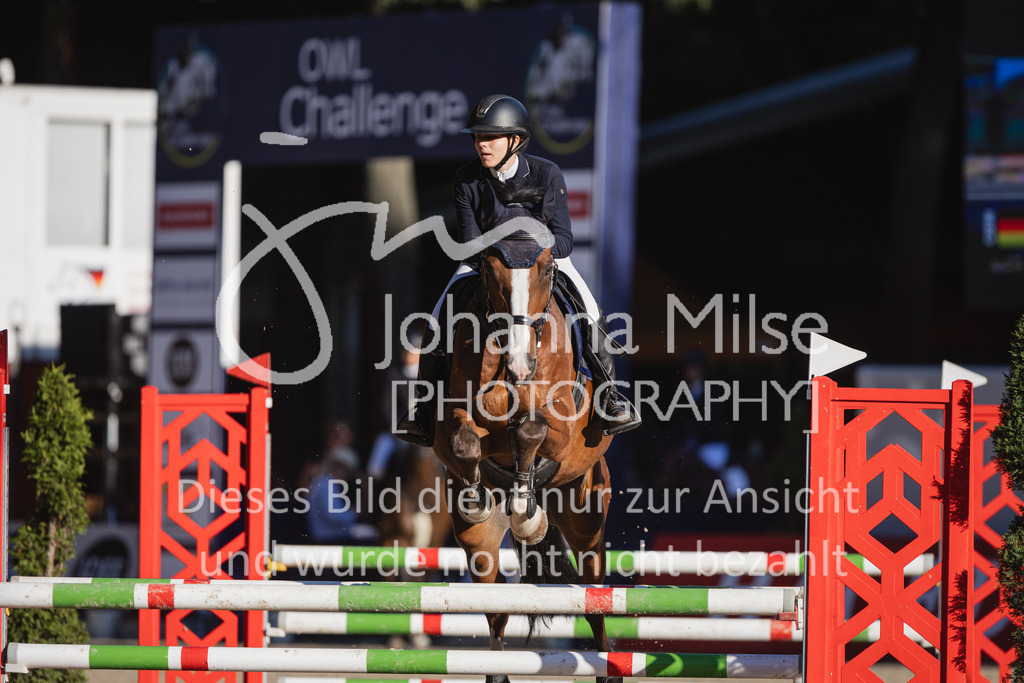230908_OWLCh_AmateurS-102 | Deine schönsten Turniermomente als professionelle Fotos! Entdecke hochwertige Pferdesport-Fotografie im Online-Shop. Jetzt Fotos finden & bestellen!