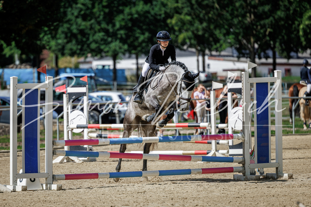 20260905-_3LI8484 | Tierfotografie Pferde, Hunde, Katzen, Haustiere.
Turnierfotografie Reitturniere, Reiten, Springreiten, Dressur in Hanau, dem Main-Kinzig-Kreis und dem Rhein-Main- Gebiet um Frankfurt