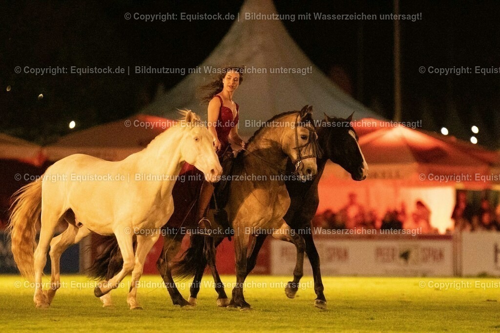 20230526_Pferdenacht_1493 | equistock