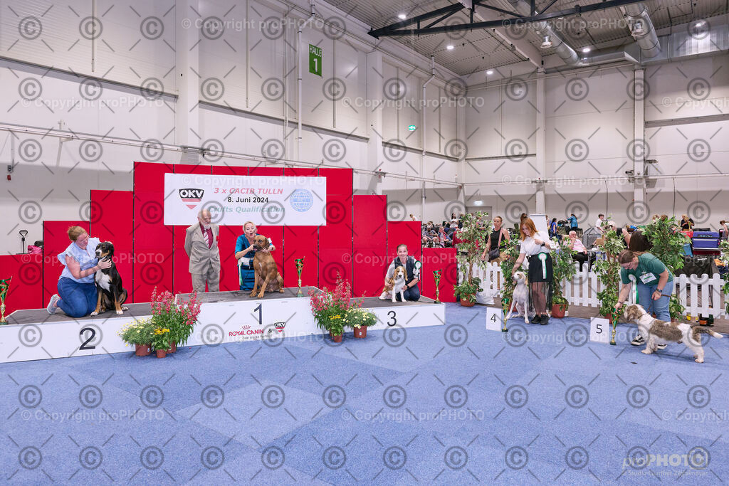 202406_ÖKV-IHA-Tulln24_NZ9_8706 | proPHOTO - Realisiert mit Pictrs.com