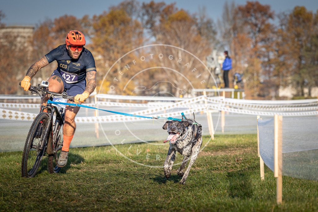 CaniXpix_0L8A4208 | Hundefotografie, Tierfotograf, Pfotenfotografie, Fotoshooting Hund, Hunde Portrait, Hundesport, Hundeportraits, Heideshooting, Hunde, Sportfotograf, Hundefotograf, Turnierhundsport, THS,  - Realisiert mit Pictrs.com