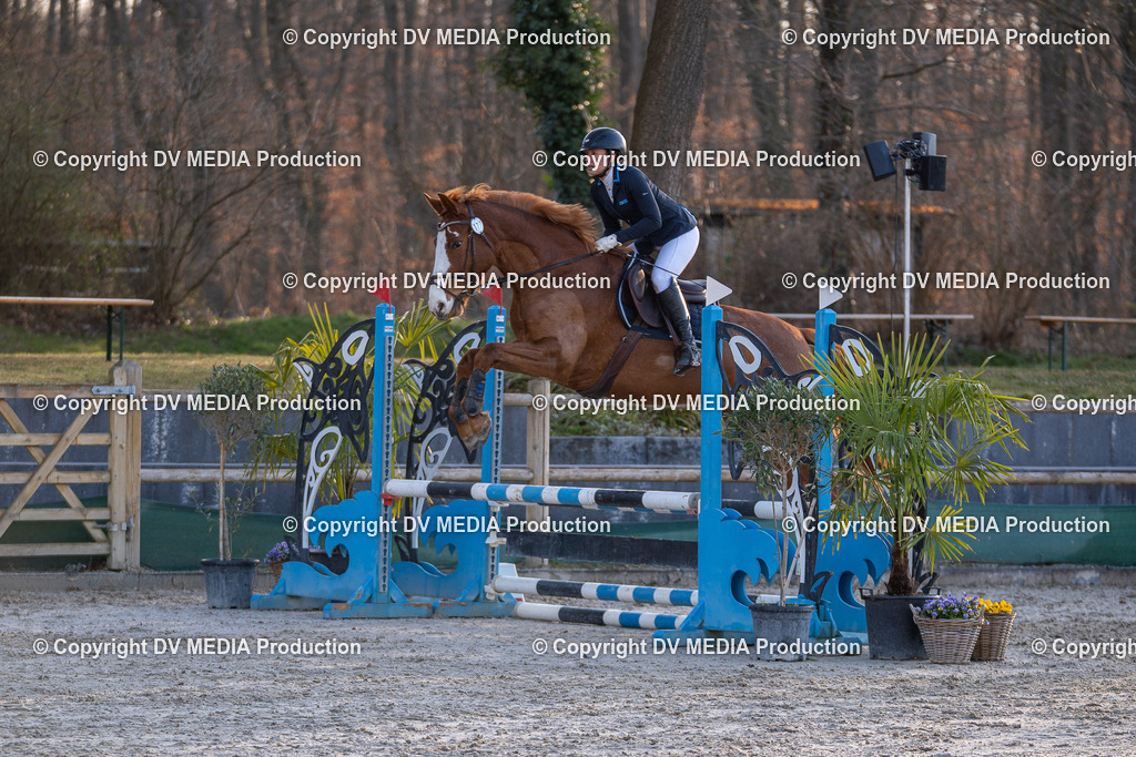 DSC-215 | dv-media-shop - Realisiert mit Pictrs.com