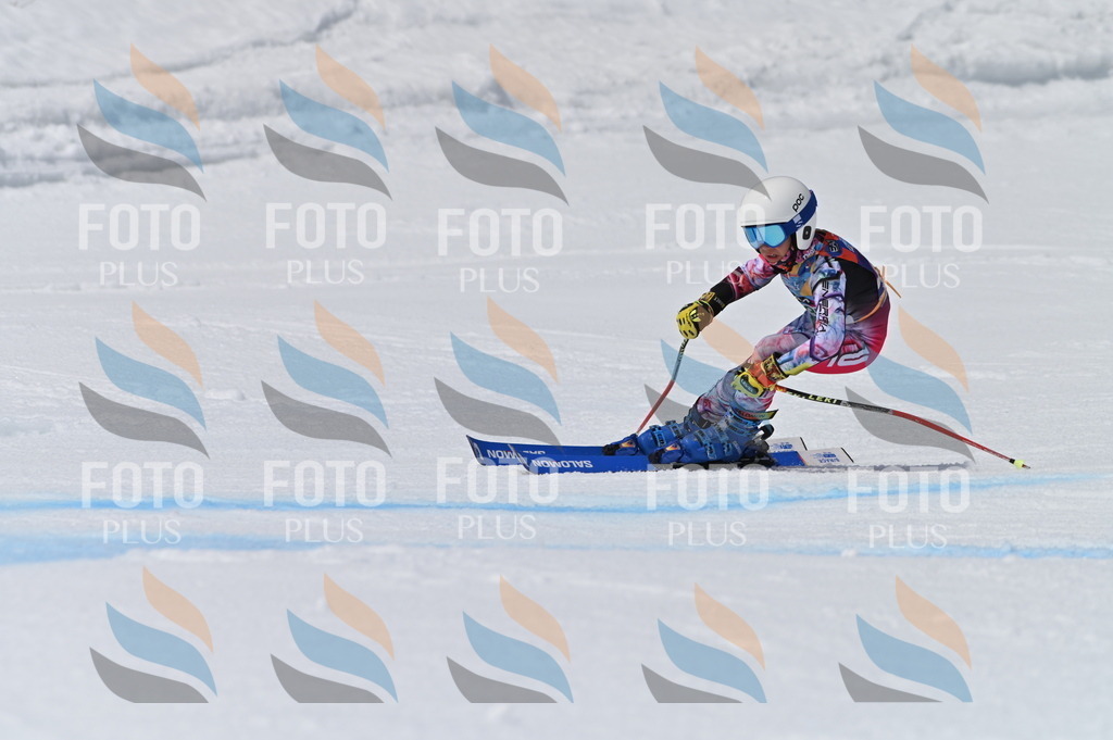 BGV_6654 | holidayphoto