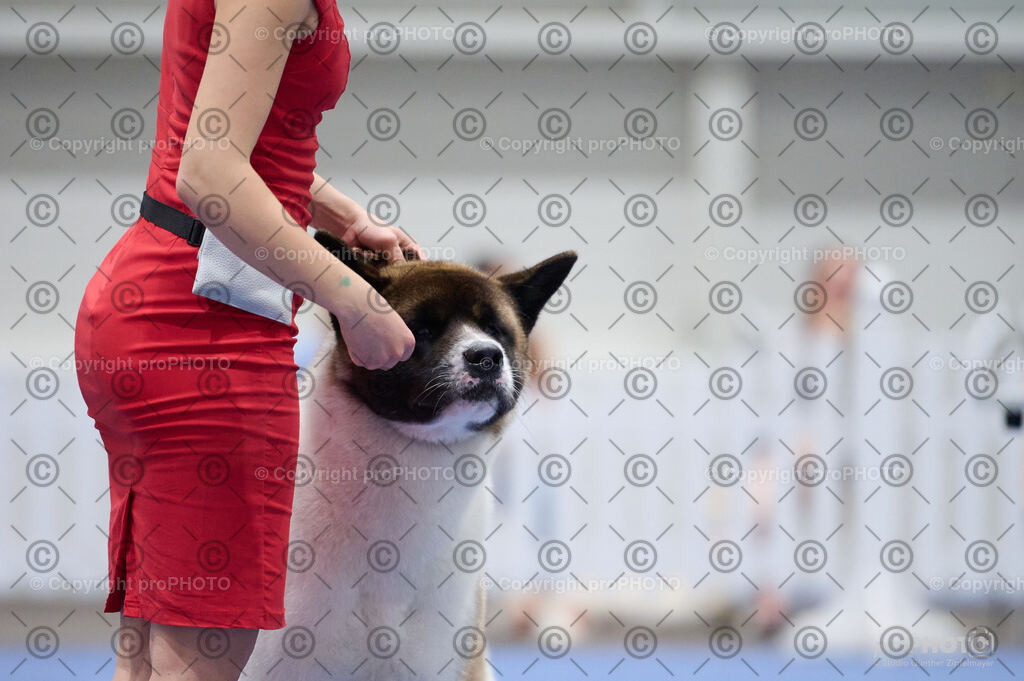 202406_ÖKV-IHA-Tulln24_DSC_3375 | proPHOTO - Realisiert mit Pictrs.com