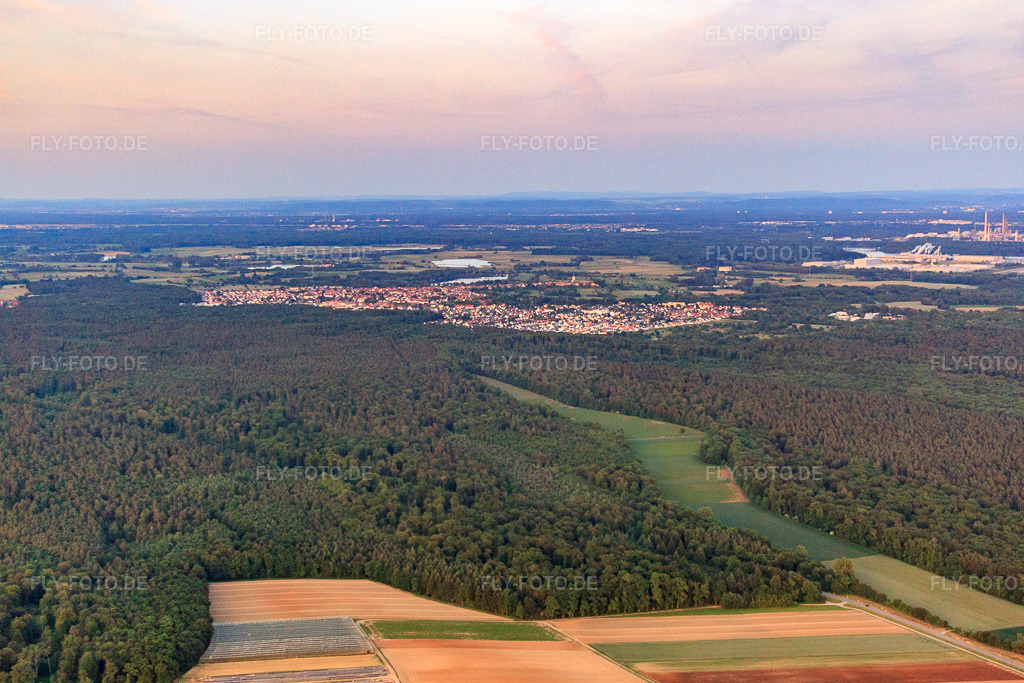 Luftbild: Hintergraben und Dörniggraben begrenzen eine Lichtung im Bienwald in Kandel im Bundesland Rheinland-Pfalz in Deutschland. Foto: IMG_66493.jpg vom 30.05.2014 durch Werner Riehm/FLY-FOTO.de