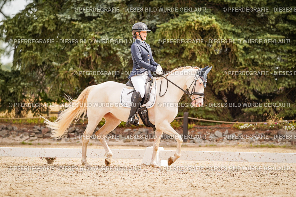 DSC01987 | Pferdegrafie