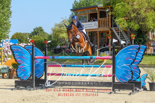 Gut Blee25_Zwei Phasen Springprfg S_0091 | Turniersportfotografie; Pferdefotografie; Dressurfotografie