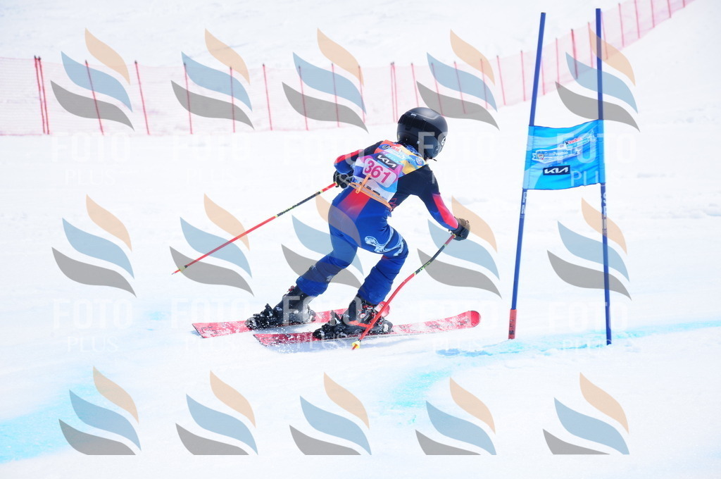 DSC_7227 | holidayphoto