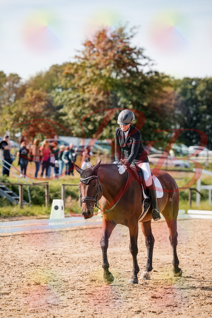 2026_10_03_Siefer-Hof_130544_Z63_69539209 | Professionelle Reitsport-, Turnier- und Eventfotografie von Robert Broda. Galerien mit ausgewählten und bearbeiteten Bildern direkt online ansehen und bestellen.