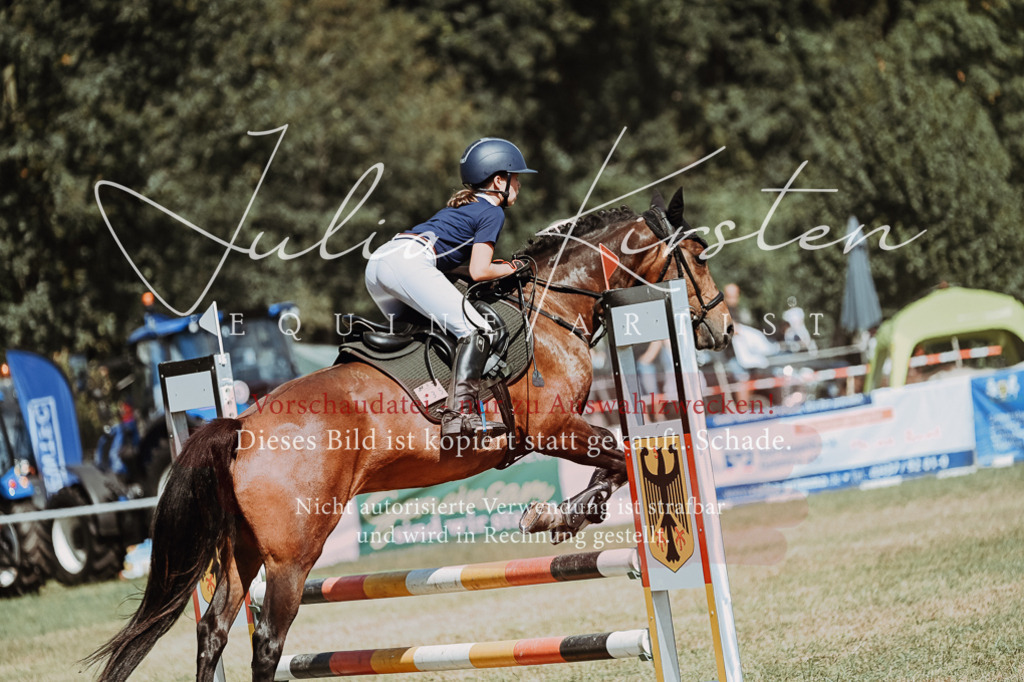 DSC_0063 | Pferde- und Turnierfotografie in Westsachsen. Pferdeportraits, Auftragszeichnungen und intuitive Kunst.