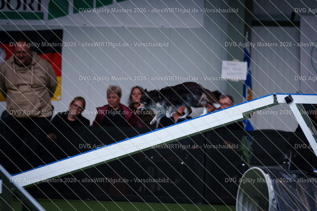 allesWIRTHgut_Tierfotografie-DVG_Agility_Masters_2026-13_47-7R503971 | Professionelle Tierfotografie in Mönchengladbach von Daniel Wirth (allesWIRTHgut). Liebevolle & natürliche Bilder von Hunden & Katzen für unvergessliche Erinnerungen.