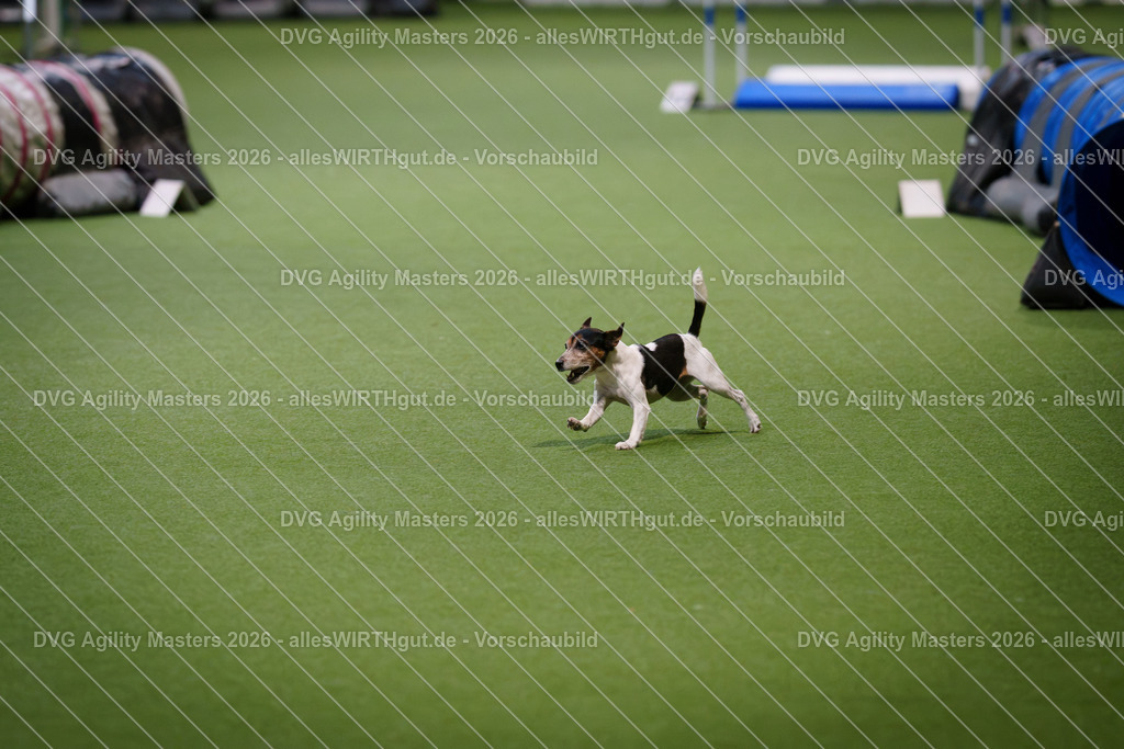 allesWIRTHgut_Tierfotografie-DVG_Agility_Masters_2026-08_33-7R508286 | Professionelle Tierfotografie in Mönchengladbach von Daniel Wirth (allesWIRTHgut). Liebevolle & natürliche Bilder von Hunden & Katzen für unvergessliche Erinnerungen.