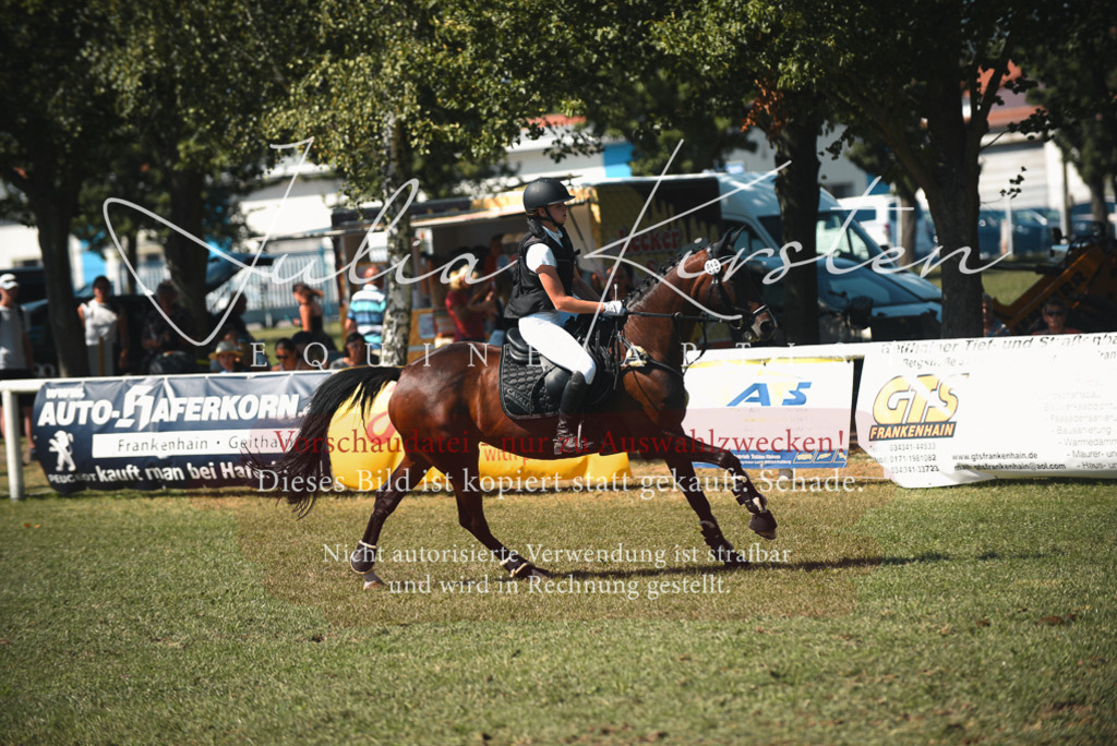DSC_7197 | Pferde- und Turnierfotografie in Westsachsen. Pferdeportraits, Auftragszeichnungen und intuitive Kunst.