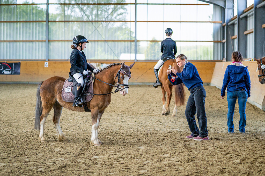 DSC03126 | Pferdegrafie