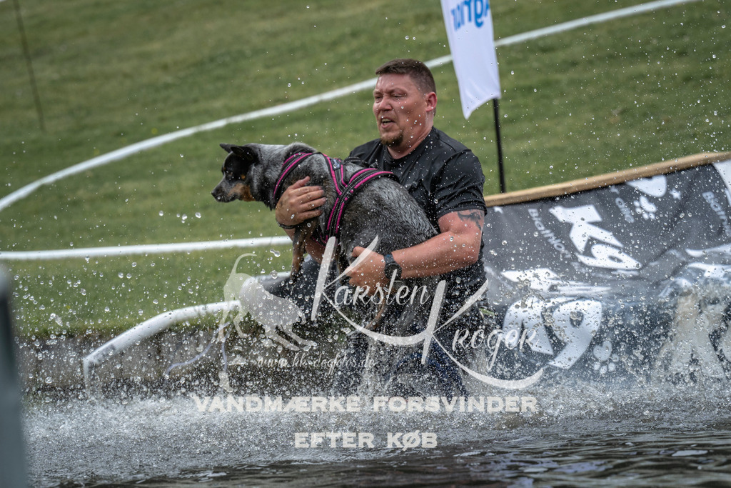 1556_ZZ96972 | kk-dogfotos