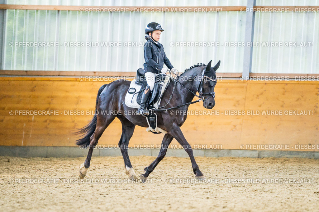 DSC04678 | Pferdegrafie