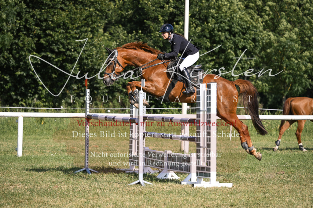 DSC_1381 | Pferde- und Turnierfotografie in Westsachsen. Pferdeportraits, Auftragszeichnungen und intuitive Kunst.