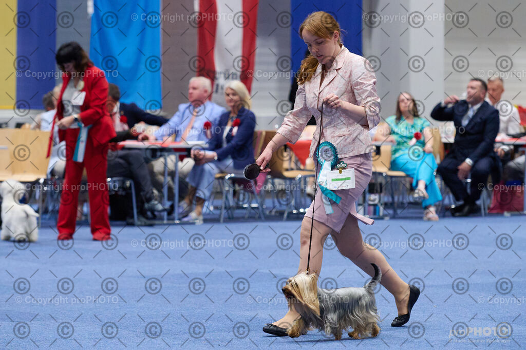 202406_ÖKV-IHA-Tulln24_DSC_2989 | proPHOTO - Realisiert mit Pictrs.com