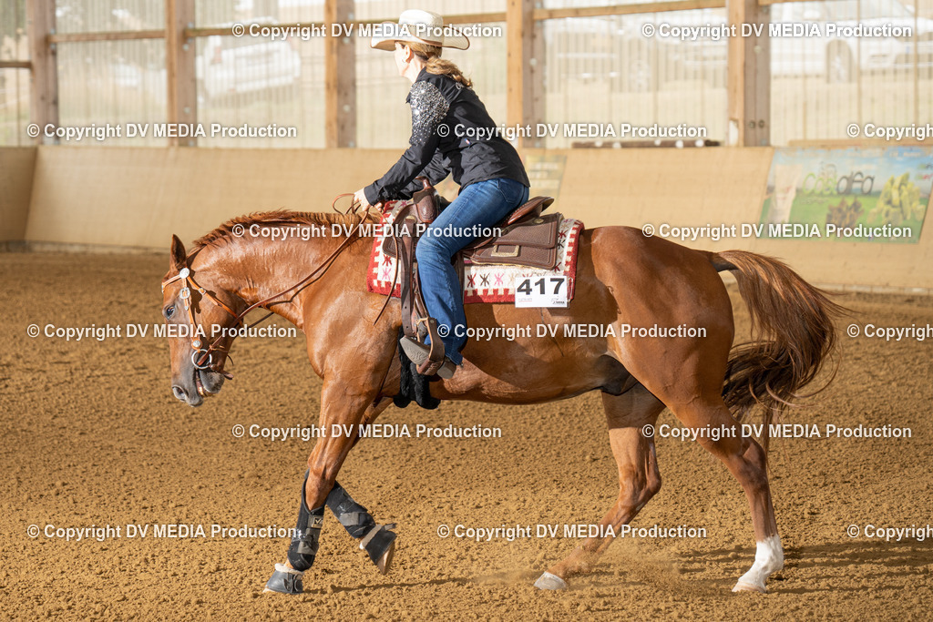 LAU01643 | dv-media-shop - Realisiert mit Pictrs.com