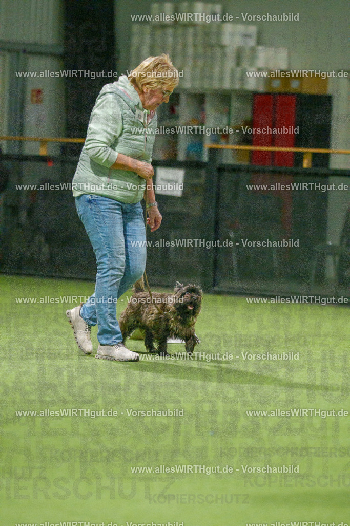 7R508550 | Professionelle Tierfotografie in Mönchengladbach von Daniel Wirth (allesWIRTHgut). Liebevolle & natürliche Bilder von Hunden & Katzen für unvergessliche Erinnerungen.