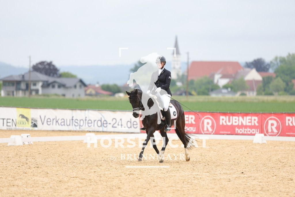 0P6A1833 | Willkommen bei Brunnmayr - Design & Fotografie – Ihrem Spezialisten für Reitturniere und Pferdeveranstaltungen in Oberösterreich, Salzburg und Bayern! Seit über 17 Jahren sind wir leidenschaftlich dabei.