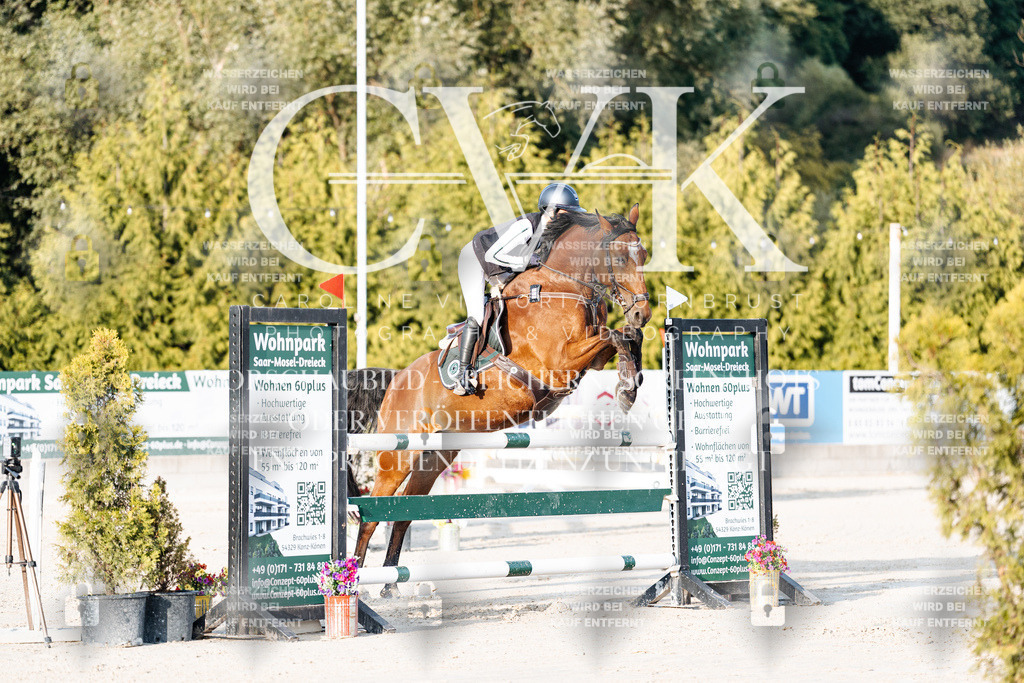 CK900767 | Turnierfotografie Pferdefotografie Trier Rheinland-Pfalz Pferdesport Reitsport Tierfotografie Sportfotografie Pferdevideo Pferdevideografie Equestrianvideography equestrianphotography  - Realisiert mit Pictrs.com
