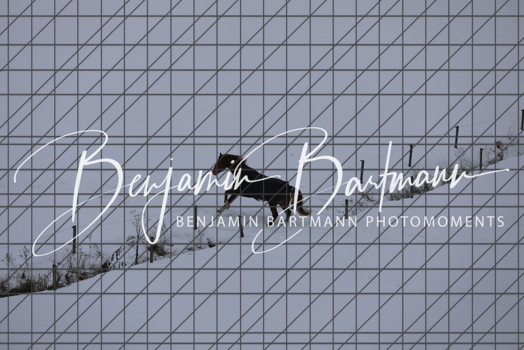 AZ2A3424 | Benjamin Bartmann Photomoments