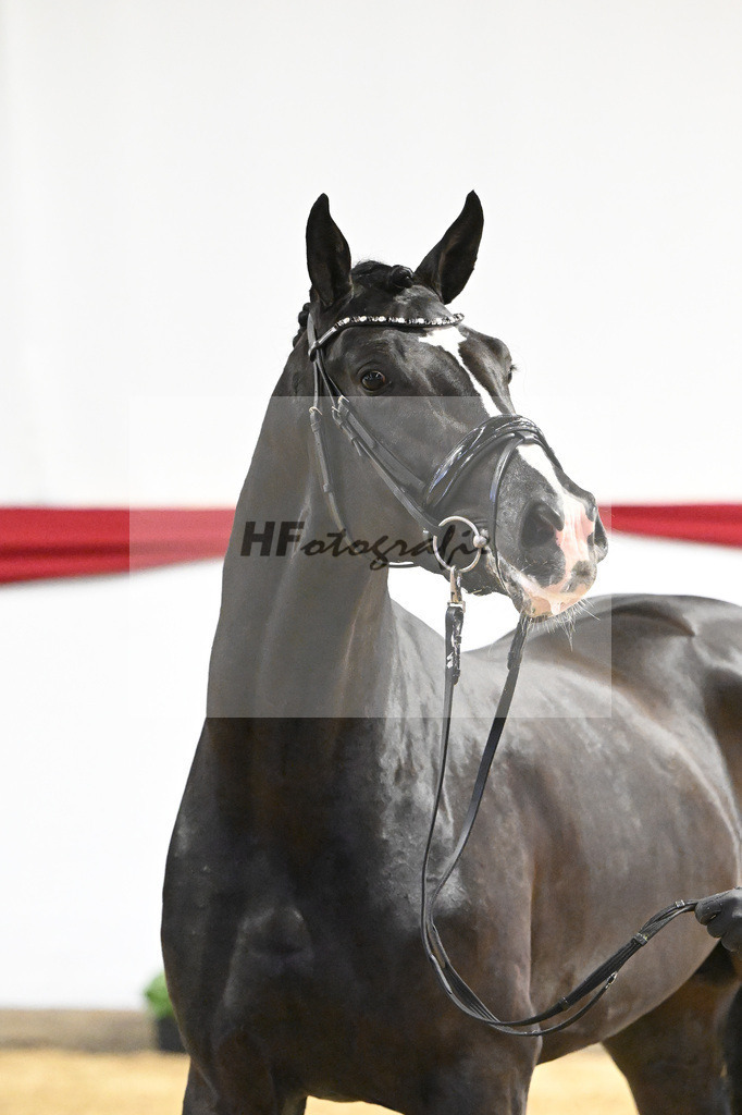 Kat-Nr. 17 v. Sezuan_Logpoint GmbH_63220503 | hf-fotografie - Realizzato con Pictrs.com