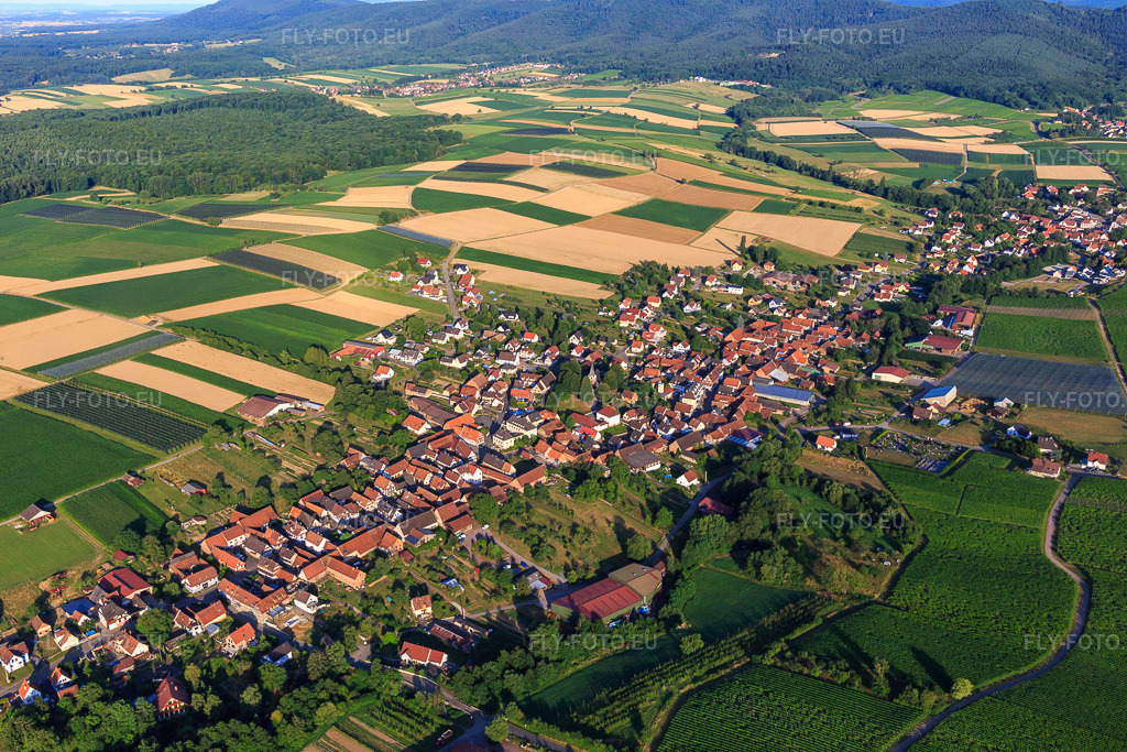 Vue aérienne: Vue de la ville depuis l'est à Steinseltz dans le département Bas Rhin, France. Photo: IMG_149337.jpg prise le 05/07/2025 par Werner Riehm/FLY-FOTO.eu – Résolution de l'original: 5472 x 3648 px
