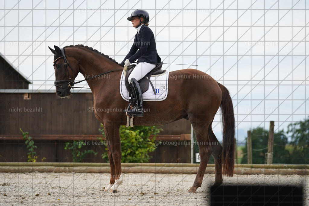 20230826-FAH04358 | Forstinning, 2023, Dressurturnier, Turniersportbilder, Turnierfotografen Bayern, Fotoagentur Herrmann, Reitsportfotografie, Turnierbilder