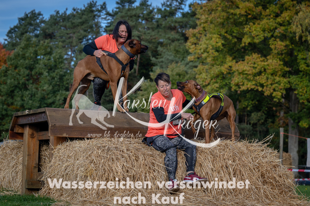 1016_ZZ92843 | kk-dogfotos