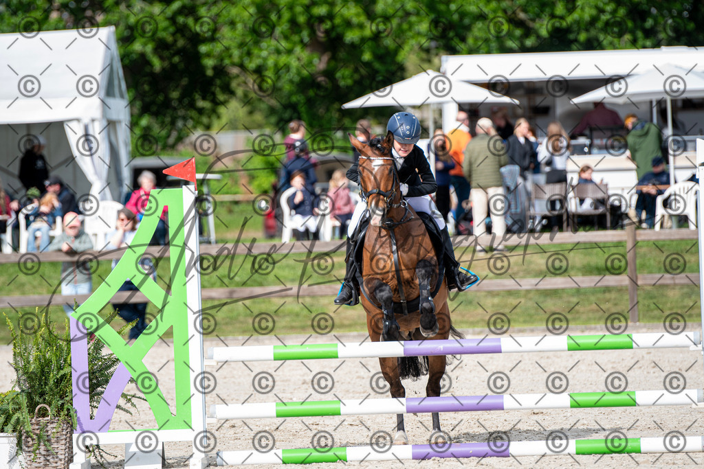 KPT_6721 | andre_photographic