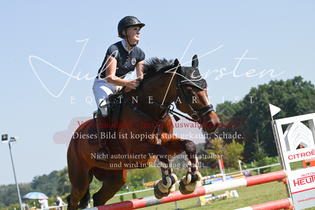 DSC_6428 | Pferde- und Turnierfotografie in Westsachsen. Pferdeportraits, Auftragszeichnungen und intuitive Kunst.