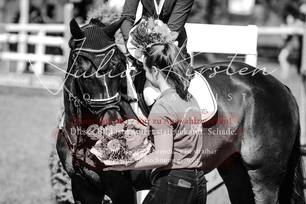 DSC_2617 | Pferde- und Turnierfotografie in Westsachsen. Pferdeportraits, Auftragszeichnungen und intuitive Kunst.