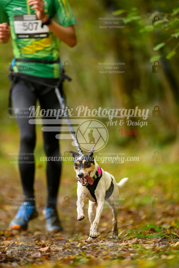 MompixPhotography_20TSB_E1_Run-153 | PayLife