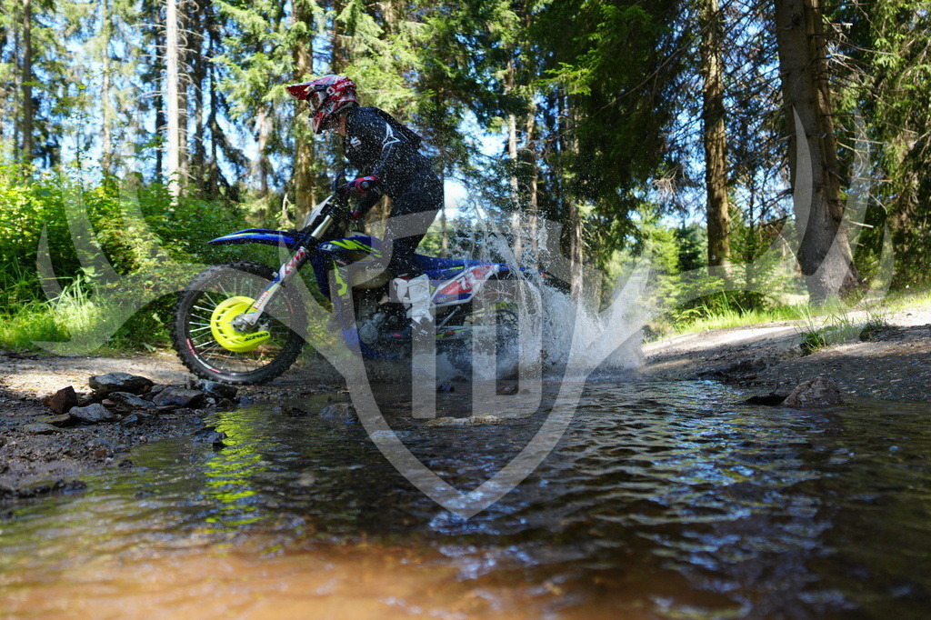 FC604278 | Fotogalerie der Treibjagd im Dunkelwald - Dein MTB Etappenrennen im Erzgebirge - Realisiert mit Pictrs.com