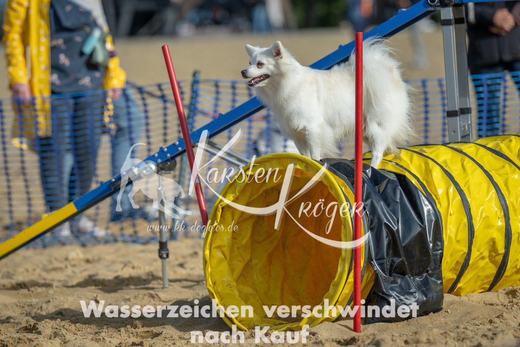 1106_ZZ90337 | kk-dogfotos