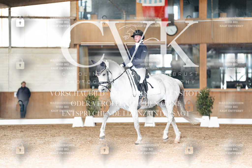 CK902558 | Turnierfotografie Pferdefotografie Trier Rheinland-Pfalz Pferdesport Reitsport Tierfotografie Sportfotografie Pferdevideo Pferdevideografie Equestrianvideography equestrianphotography  - Realisiert mit Pictrs.com