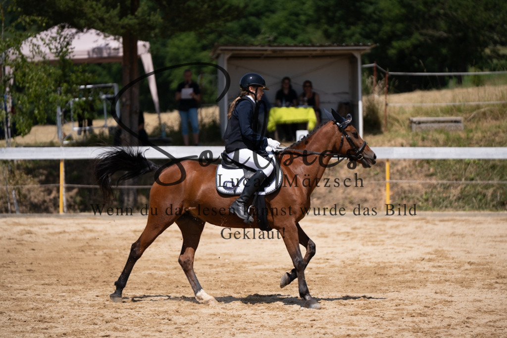 A7V08174 | Pferdefotograf