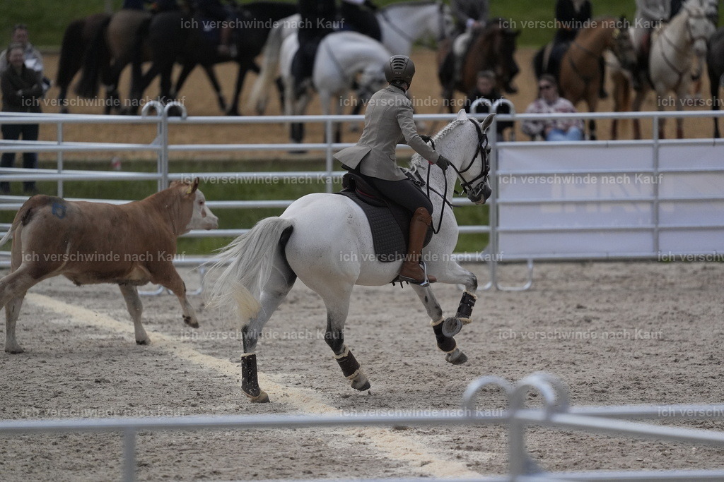 PI26_COW_Stoibphotography_DSC5934.JPG | working equitationturnier fotograf videograf stoibphotography marixx film working equitation deutschland reitsport turnierfotografie eventfotografie equestrian events