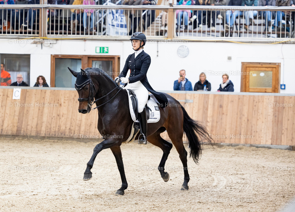 TH_210 Greta Busacker (GER)_ Frieda NRW_32456 | 210 Greta Busacker&nbsp;(GER), Frieda NRW beim Reitturnier Guxhagen-Dörnhagen 2025 am 12.10.25 in Dörnhagen, Reit- u. Fahrverein